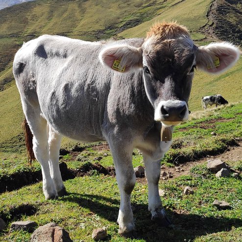 IMG_20230926_125840_1