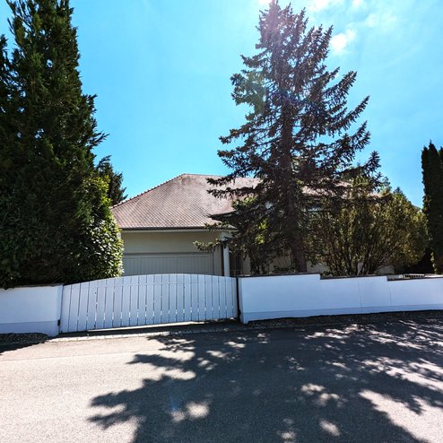 PXL_20250513_120855304