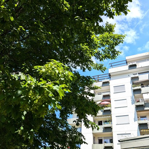 PXL_20250617_100924924