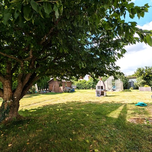 PXL_20250709_085518748 - Kopie - Kopie