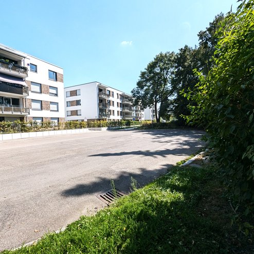 PXL_20250815_115716419