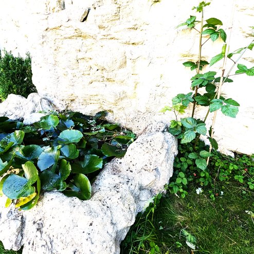 PXL_20250918_090731319