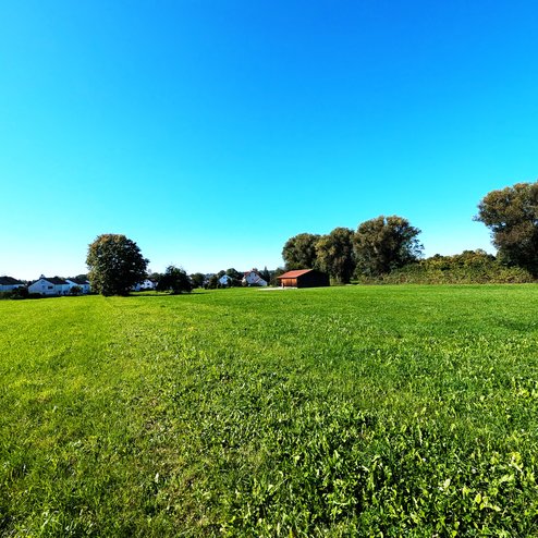 PXL_20250918_092928408