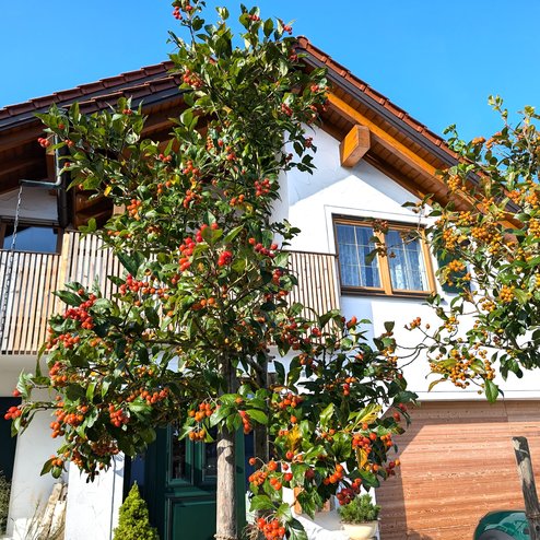 PXL_20251011_083925787