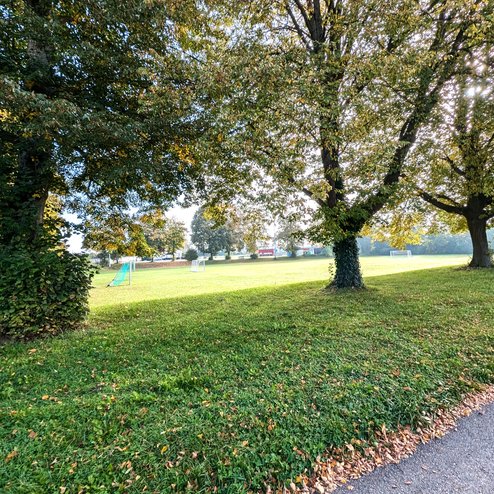 PXL_20251015_082809437