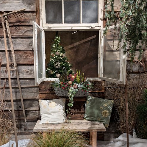 PXL_20251115_164035293