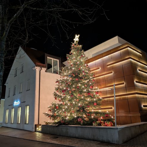 PXL_20251208_184045596