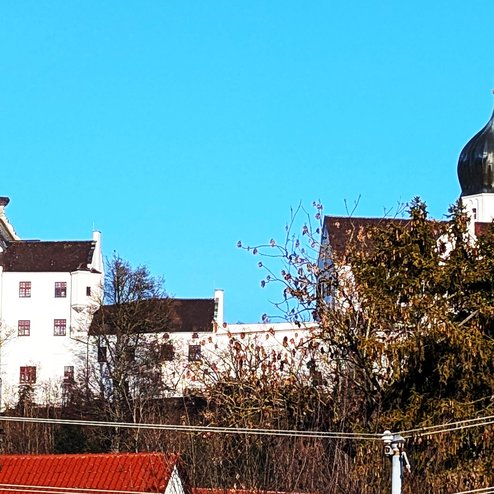 PXL_20260121_135159336