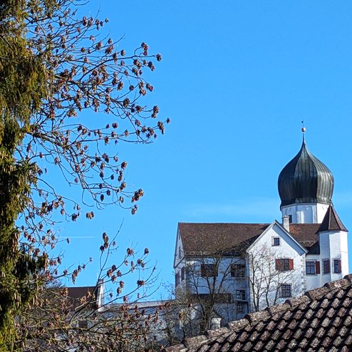 PXL_20260226_091124585