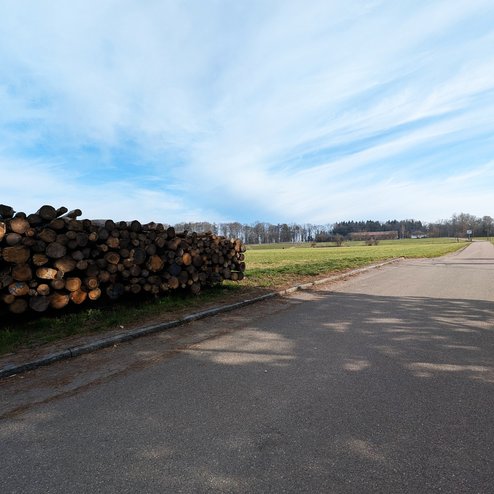 PXL_20260303_141629735