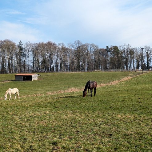 PXL_20260303_141856143