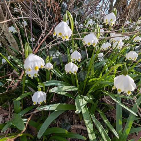 PXL_20260303_142417063