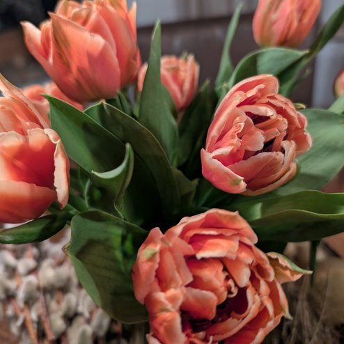 PXL_20260314_175730413