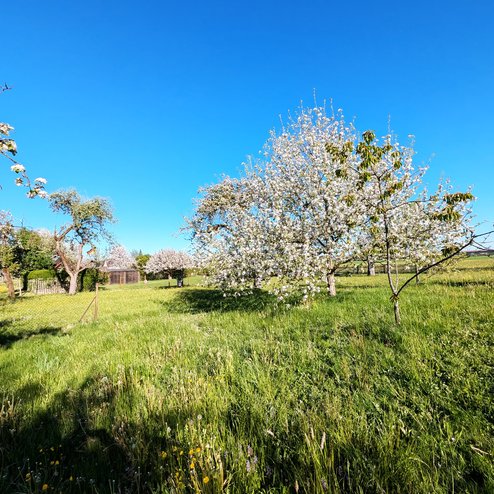 PXL_20260430_064846214