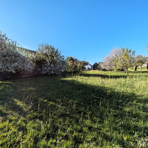 PXL_20260430_064924559