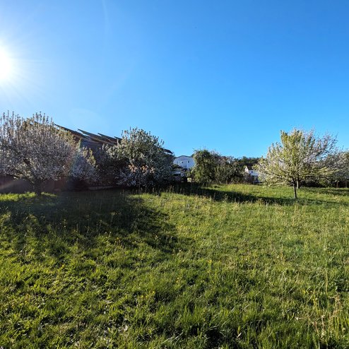 PXL_20260430_064932979